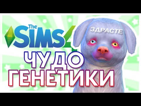 ЧУДО ГЕНЕТИКИ: Кошки и собаки / The Sims 4: Challenge - Тренды Ютуба