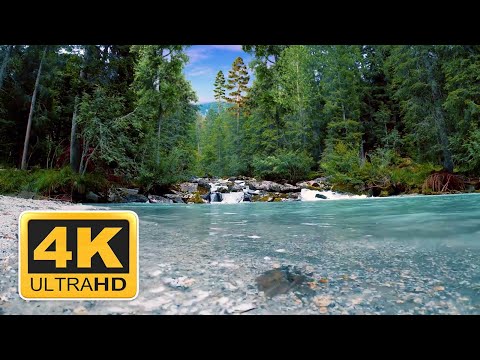 4K Relaxing River. Ultra HD Nature Video. Water Stream & Birdsong Sounds. Sleep, Meditate & Yoga - Тренды Ютуба