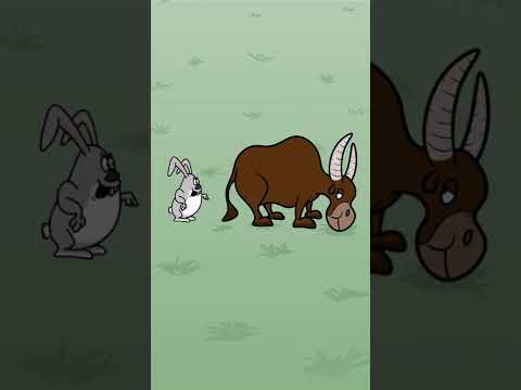 Заяц и бык #мультфильмы #анимации #прикол #животные - Тренды Ютуба