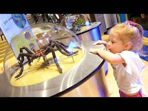 Детский музей науки - Развлечения для детей / Children's Museum Kids Pretend Play - Тренды Ютуба