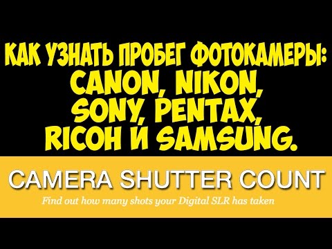 Как узнать пробег фотокамеры:  Canon, Nikon, Sony, Pentax, Ricoh и Samsung - Тренды Ютуба